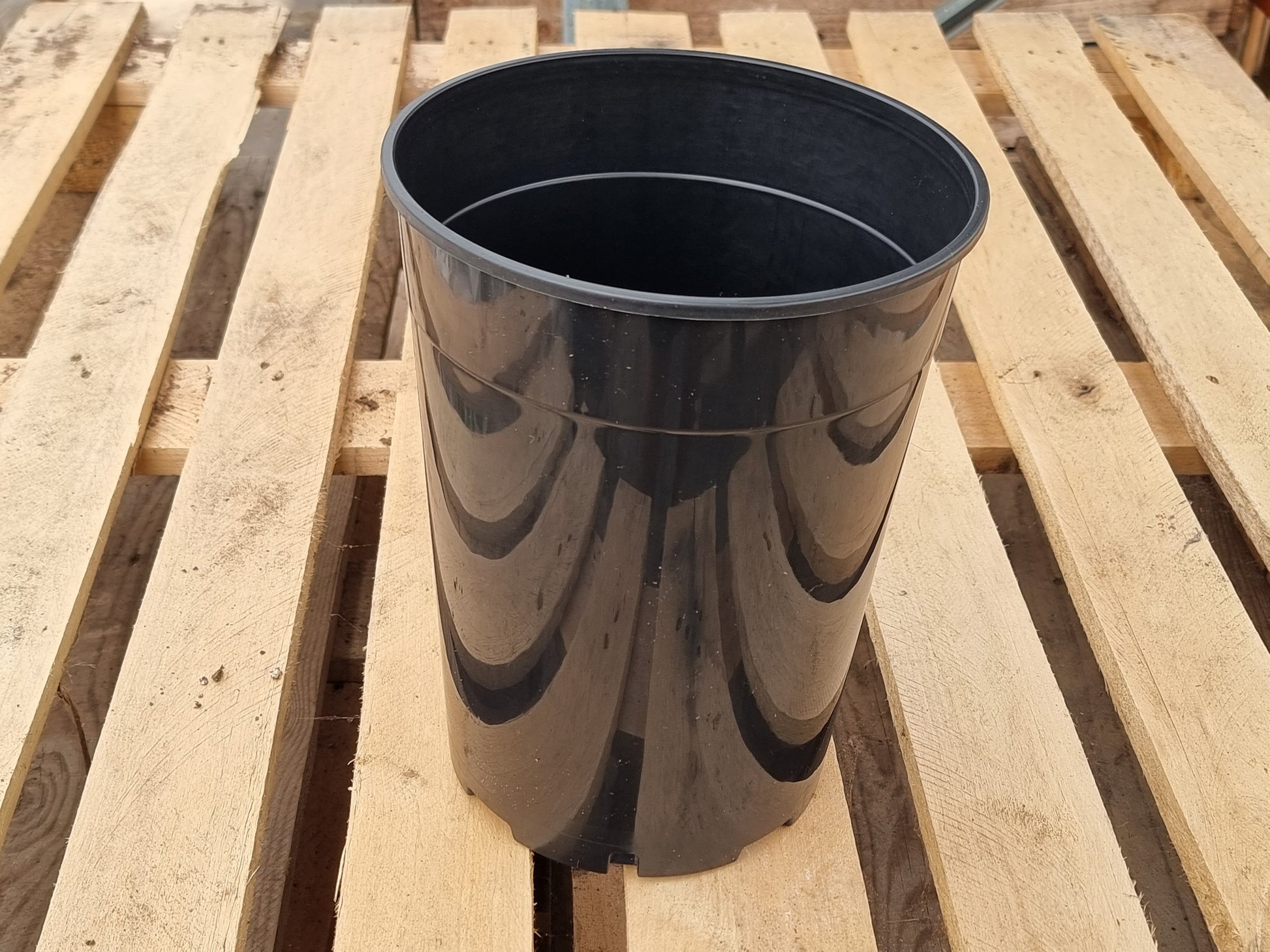 Tall palm containers 7L 100x