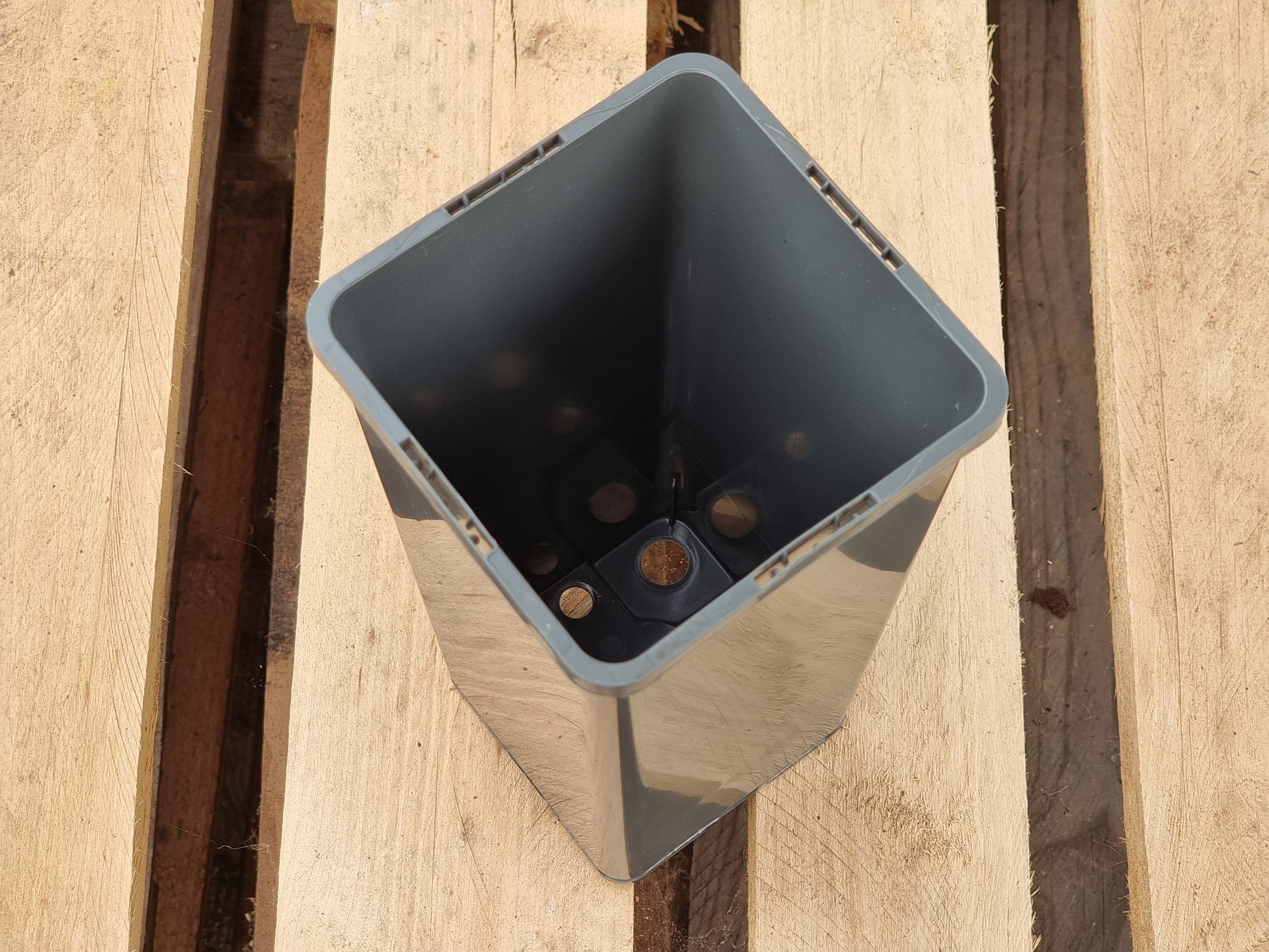 Square tall palm containers 100x