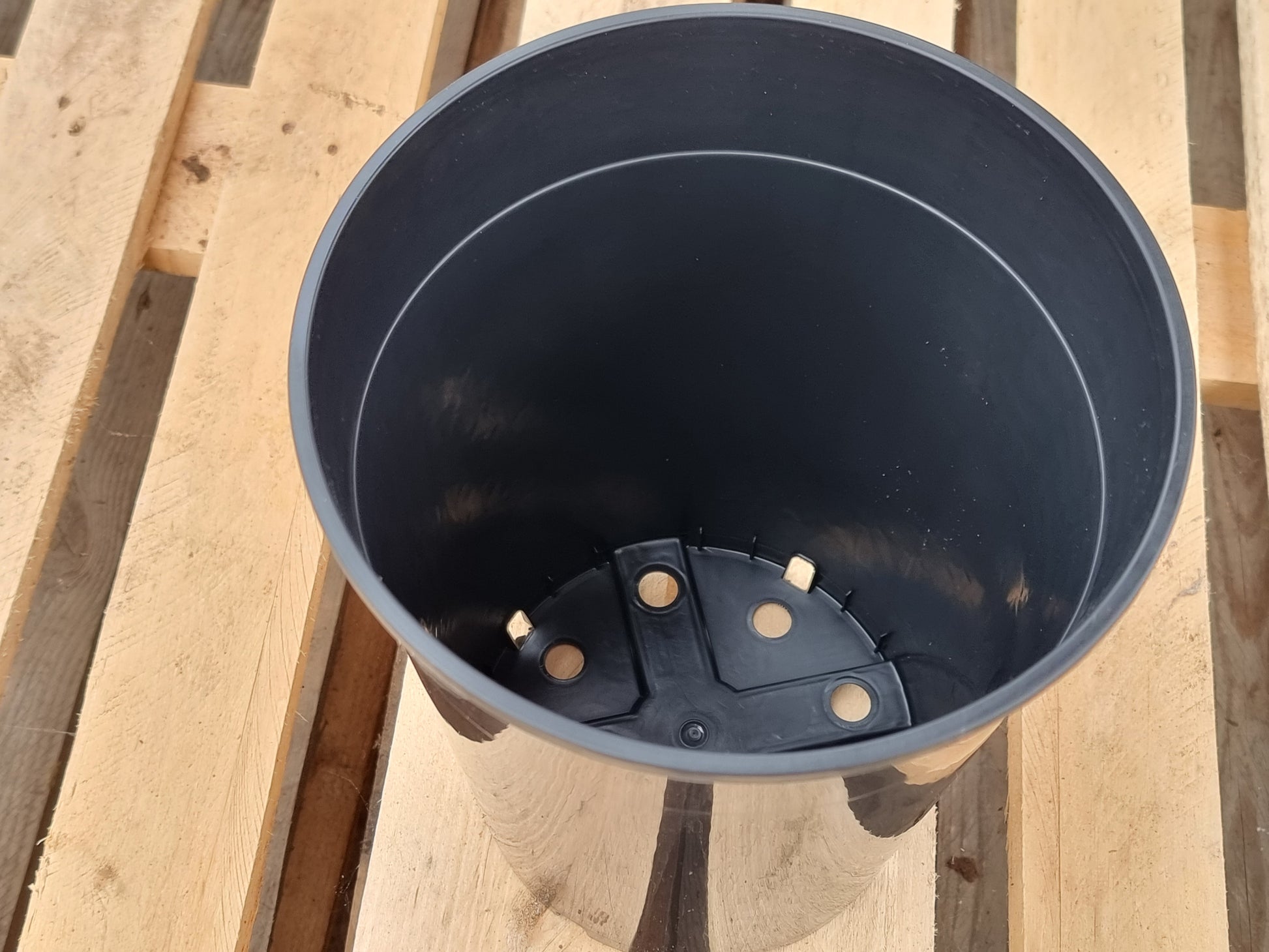 Tall palm containers 7L 100x